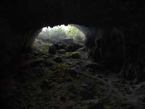 300 etre sain shiatsu nature randonnee animaux plante gite de france pabro grotte animation ressourcement