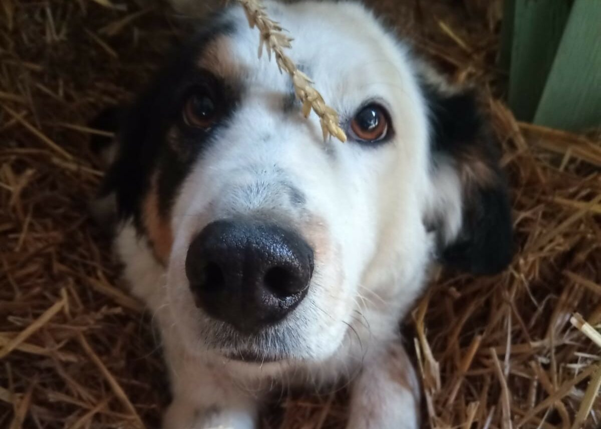 IMG-20251116-WA0026 reduite