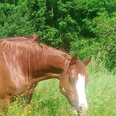 288295857_724131195562493_6004284537136480468_n